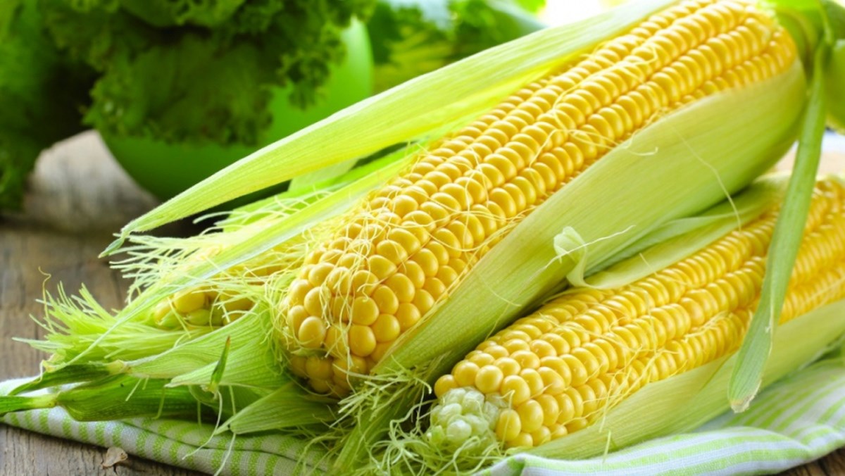 Bắp ngô chữa suy nhược cơ thể